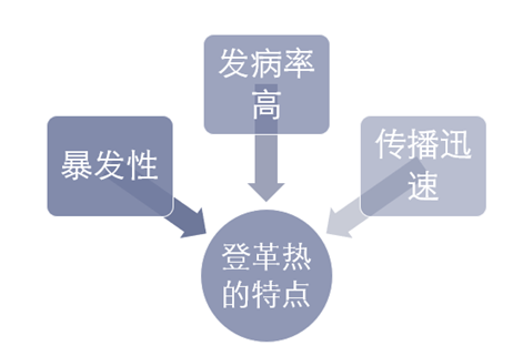 登革热的特点