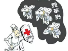 2019年中国登革热发病数、死亡人数及影响传播的主要因素分析「图」
