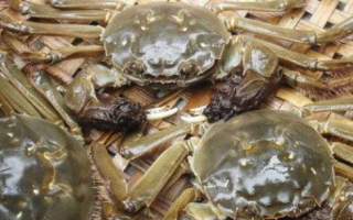 2018年中国河蟹行业养殖现状及前景分析，河蟹消费群体逐渐大众化「图」
