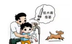 2019年中国狂犬病主要特征、发病率、死亡率及狂犬疫苗批签发情况「图」