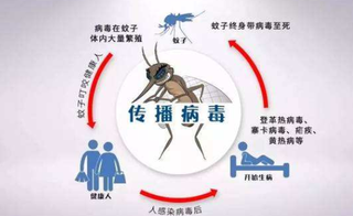 2019年中国流行性乙型脑炎主要特征、发病率、死亡率及防控措施分析「图」