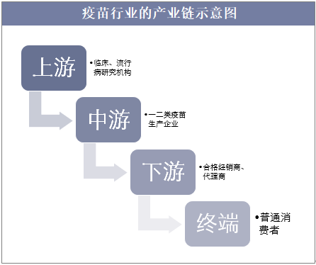 疫苗行业的产业链示意图