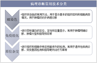 2018年中国病理诊断行业发展现状及前景展望,病理AI问世有望解决病理医师供需难题「图」