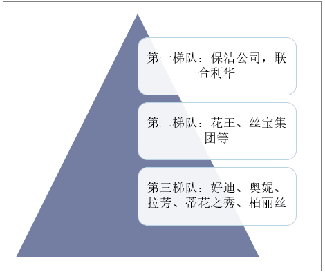 国内洗发护发品牌竞争层次