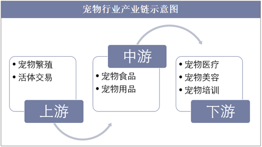 宠物行业产业链示意图