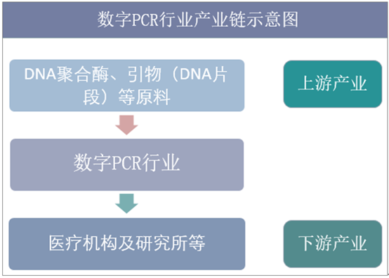 PCR行业产业链结构示意图