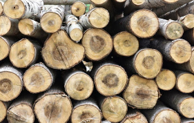 2018年中国木材市场成交额及前20大木材市场「图」