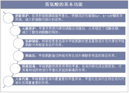 蛋氨酸的基本功能