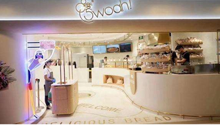 2019年中国首店经济行业市场调研分析及投资战略咨询
