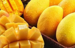 2019年中国芒果行业种植面积及分布情况，百色芒果深受消费者青睐「图」