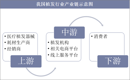 我国植发行业产业链示意图