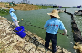 2019年中国水环境治理行业市场现状与竞争格局分析，生态导向发展是方向「图」