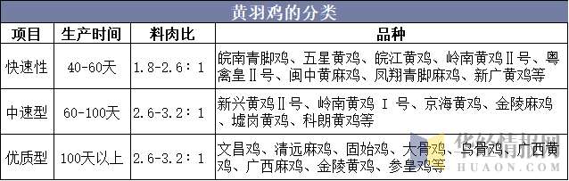黄羽鸡的分类
