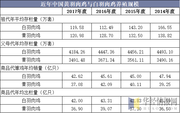 近年中国黄羽肉鸡与白羽肉鸡养殖规模