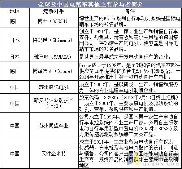 全球及中国电踏车其他主要参与者简介