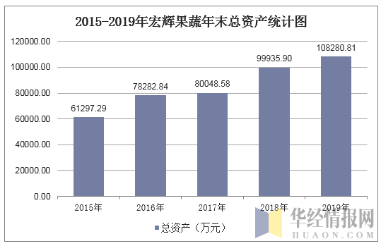 2015-2019年宏辉果蔬年末总资产统计图