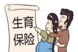 2019年中国生育保险参保人数达21432万人,两险合并实施下将惠及更多职工家庭「图」