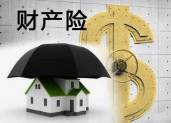 财险保费业务逐步回归稳态增长阶段,2020年非车险业务增长动能依然强劲「图」