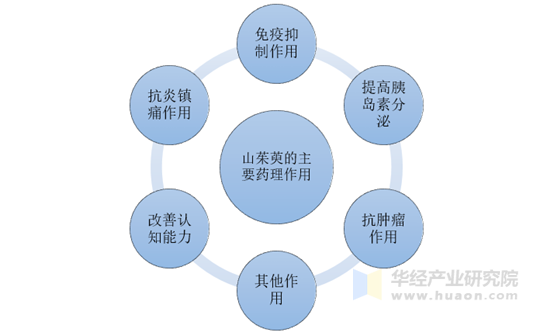 山茱萸的主要药理作用分析