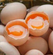 中国禽蛋行业产量、均价与出口现状分析，建立健全禽蛋产品质量标准体系是关键「图」