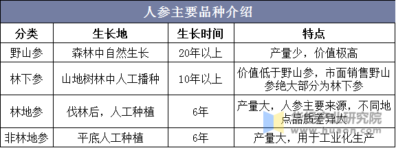 人参主要品种介绍