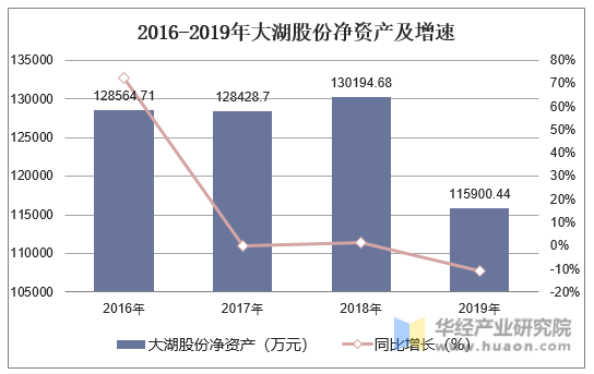 2016-2019年大湖股份净资产及增速