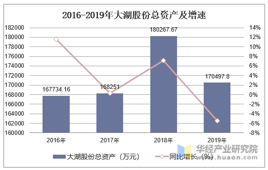 2016-2019年大湖股份总资产及增速