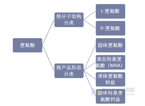 蛋氨酸的主要种类分析