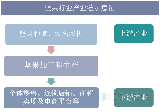 坚果行业产业链