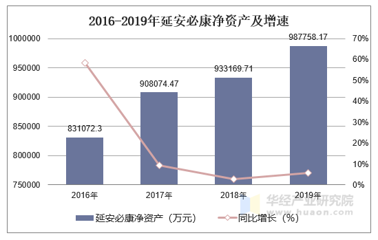 2016-2019年延安必康净资产及增速