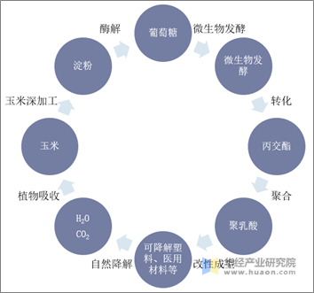 PLA产业链分析