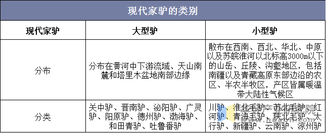 现代家驴的类别