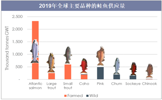 2019年全球主要品种的鲑鱼供应量