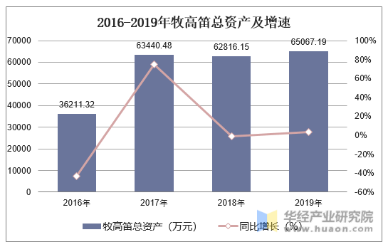 2016-2019年牧高笛总资产及增速