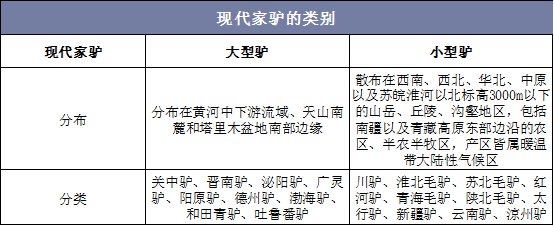 现代家驴的类别