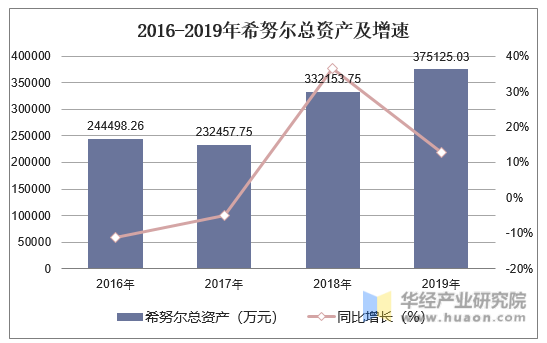 2016-2019年希努尔总资产及增速