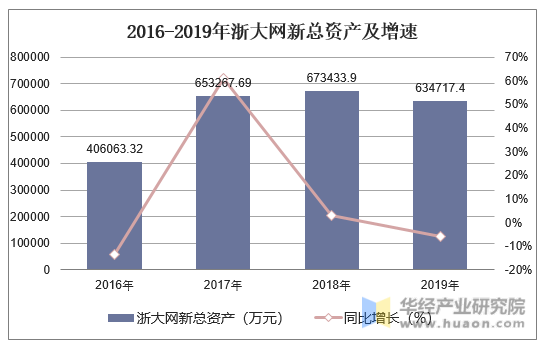 2016-2019年浙大网新总资产及增速