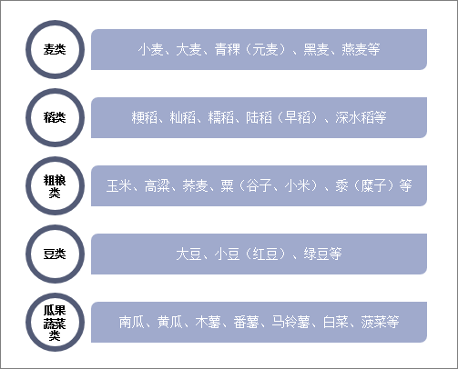 粮食的主要分类