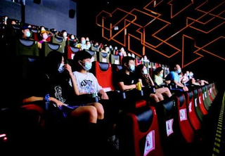 2020年中国电影院行业市场调研分析及投资战略咨询