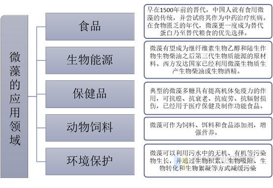 微藻的主要应用领域分析