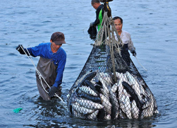 2019年湖北省渔业经济总产值、渔业产值及渔业细分产业产值分析「图」