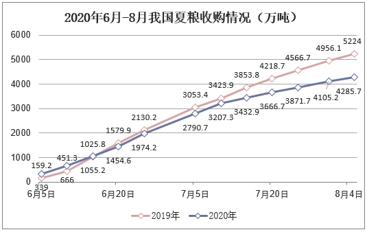 2020年6月-8月我国夏粮收购情况