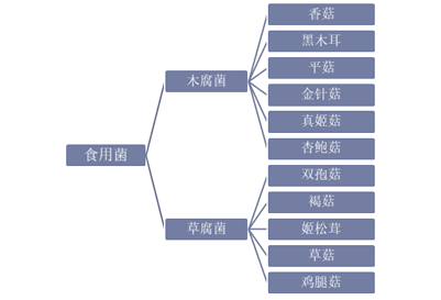 食用菌的主要种类