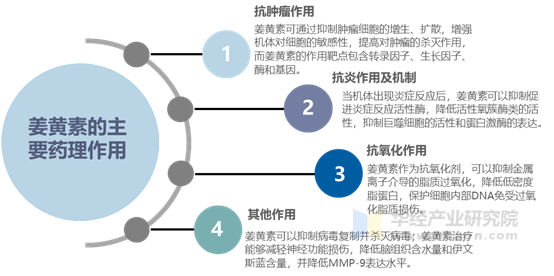 姜黄素的主要药理作用分析