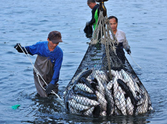 2019年陕西省渔业经济总产值、渔业产值及渔业细分产业产值分析「图」