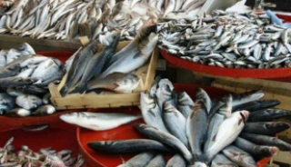 2019年甘肃省渔业经济总产值、渔业产值及渔业细分产业产值分析「图」