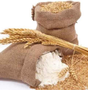小麦粉市场供需及前景展望，优质高筋面粉需求增加「图」