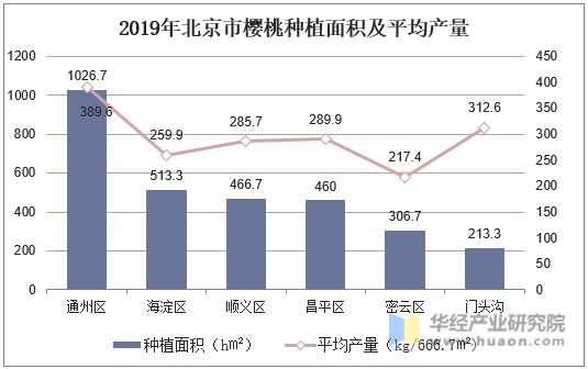 2019年北京市樱桃种植面积及平均产量