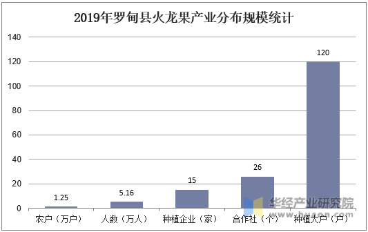 2019年罗甸县火龙果产业分布规模统计