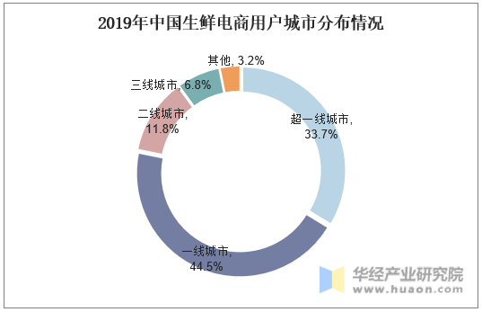 2019年中国生鲜电商用户城市分布情况